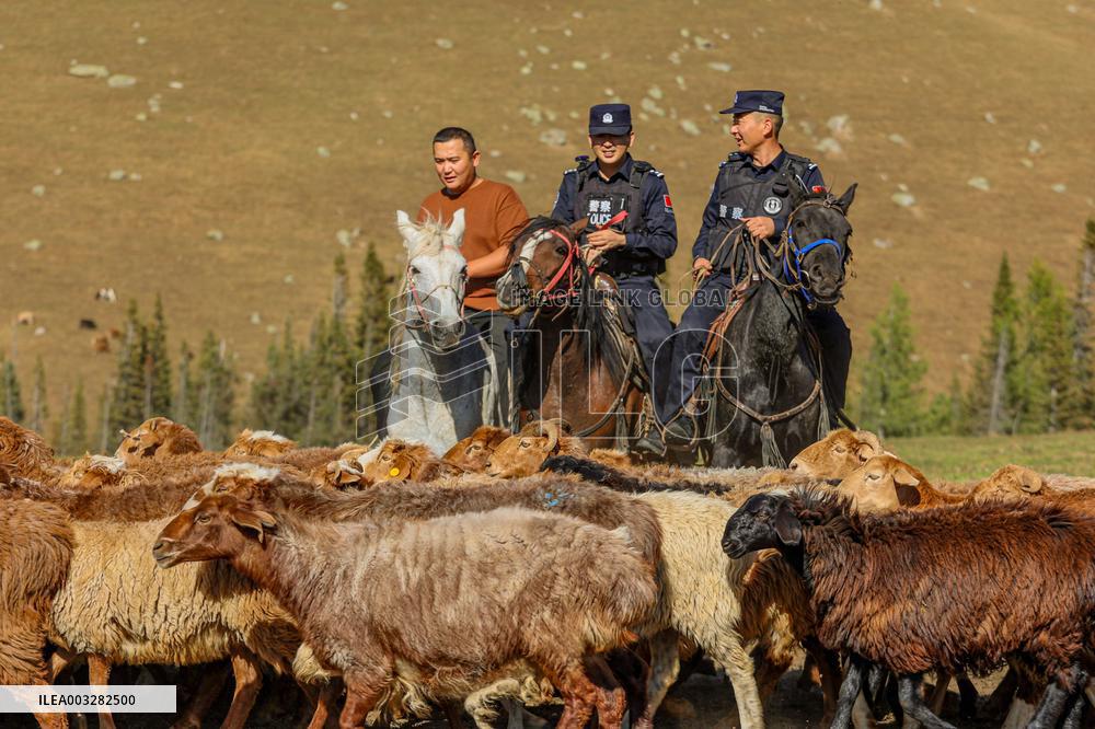 Police Help Herders With The Autumn Migration of Livestock
