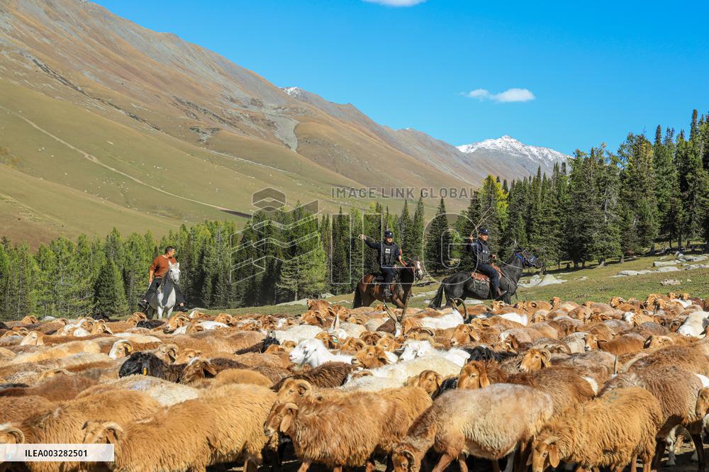 Police Help Herders With The Autumn Migration of Livestock