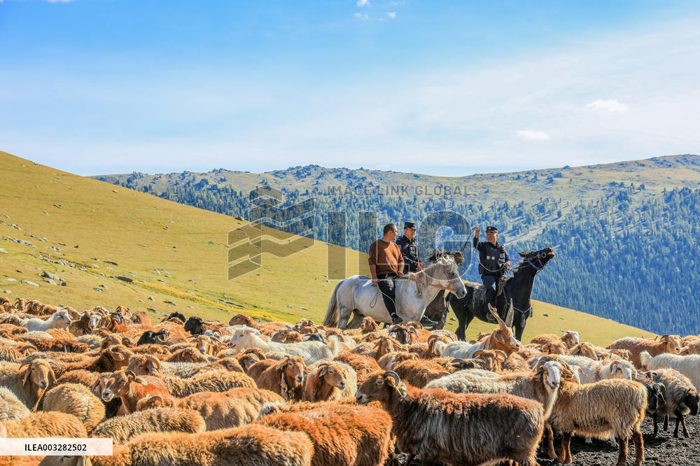 Police Help Herders With The Autumn Migration of Livestock
