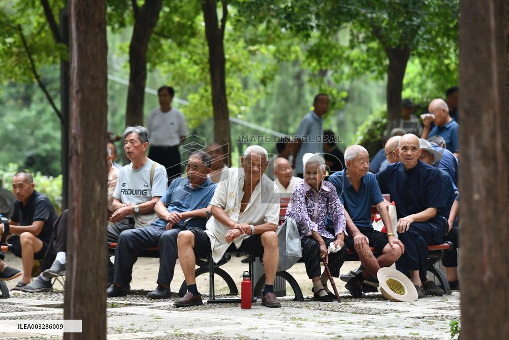 Daily Life of The Elderly