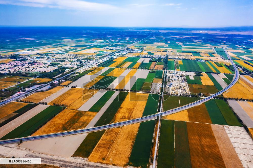 Agricultural Comprehensive Development Zone in Karamay