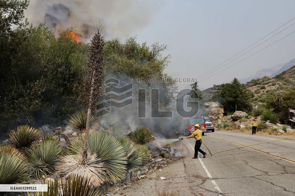 Bridge Fire Rages In LA County - California