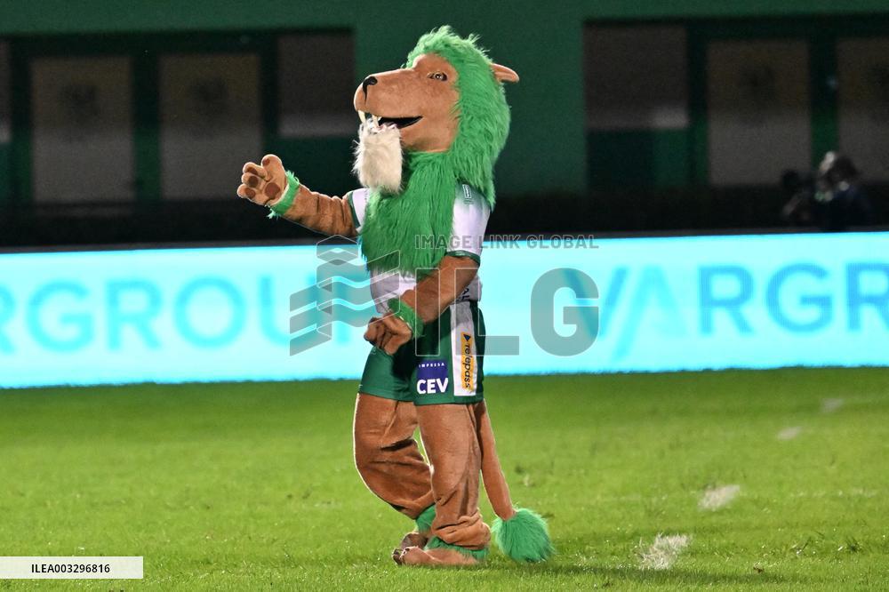 - Test Match - Benetton Rugby vs Harlequins FC