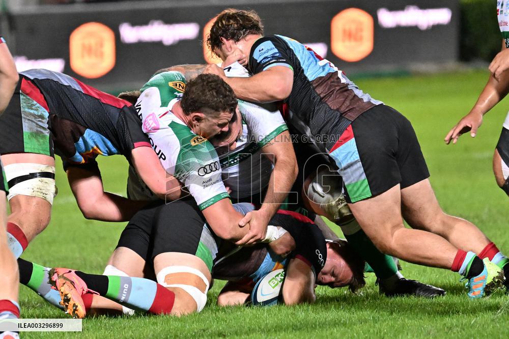 - Test Match - Benetton Rugby vs Harlequins FC