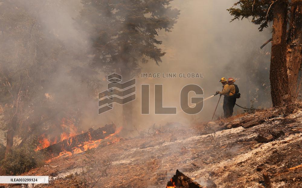 Bridge Fire Is The Largest Active Fire Burning Over 50,000 Acres - California