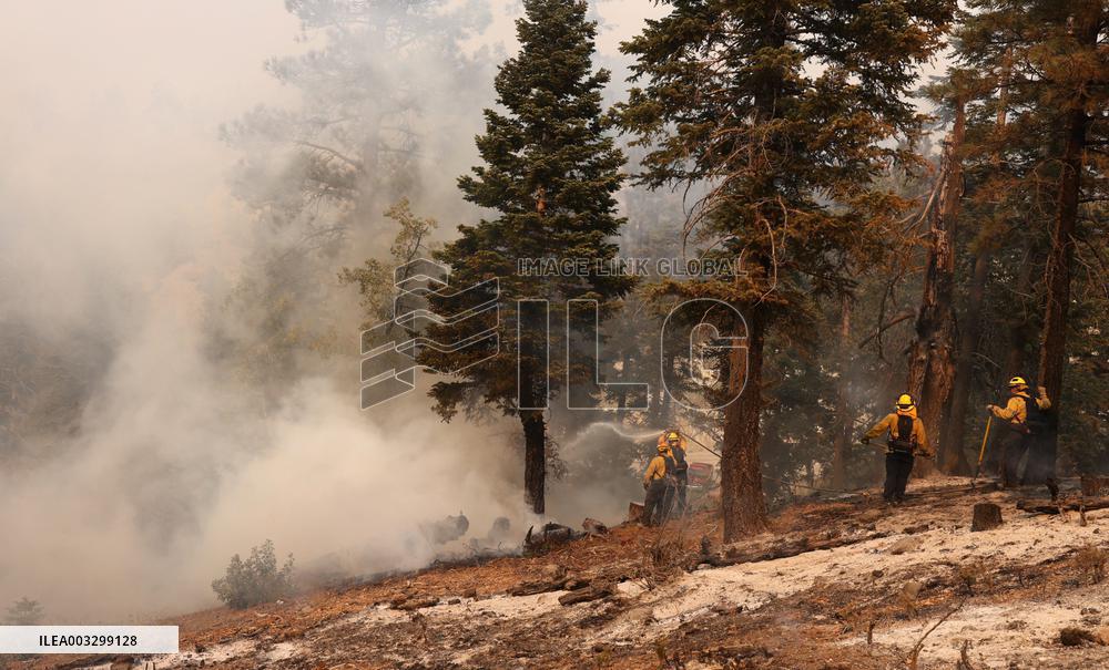 Bridge Fire Is The Largest Active Fire Burning Over 50,000 Acres - California