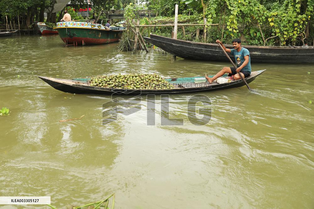 Floating Plum Market - Bangladesh