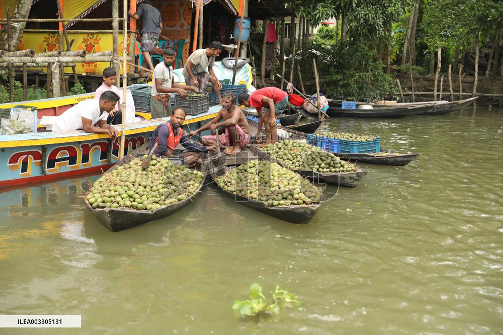 Floating Plum Market - Bangladesh