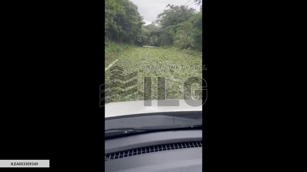 Japan: Typhoon Bebinca Leaves Trail Of Damage In Amami, Kagoshima