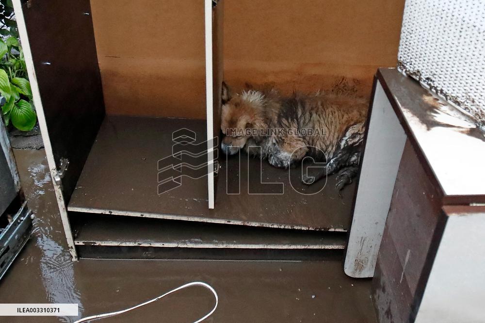 Floods Devastate Parts Of Romania