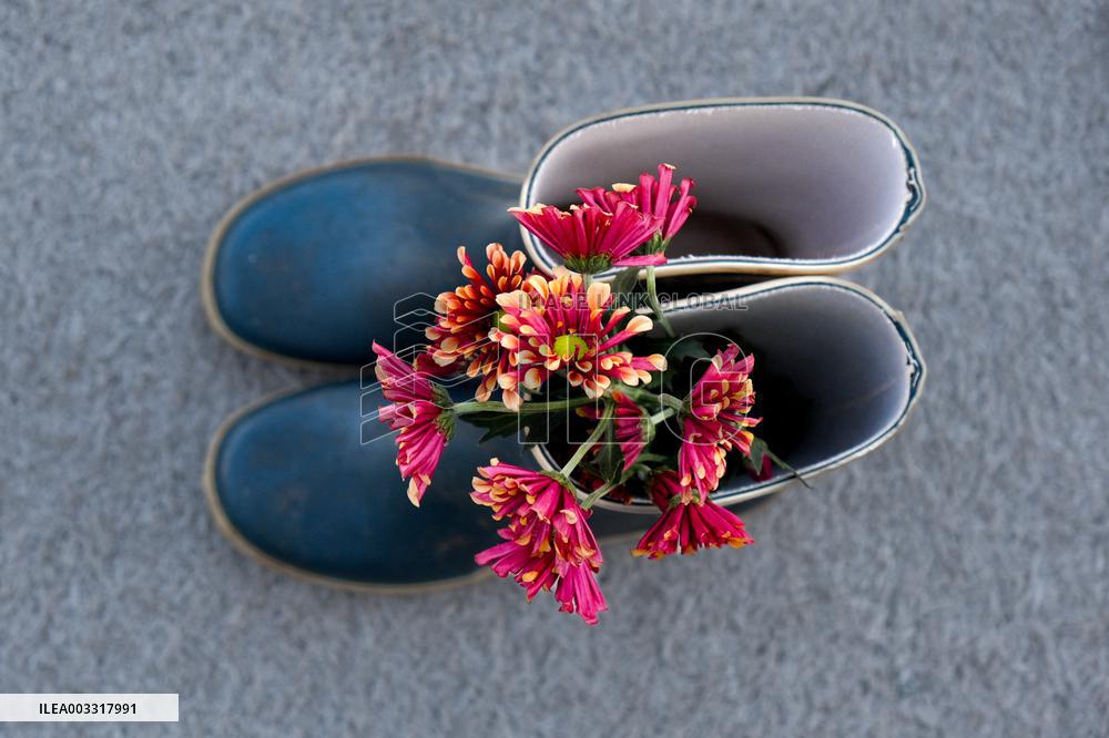 Shoes Protest For Palestine - Rotterdam