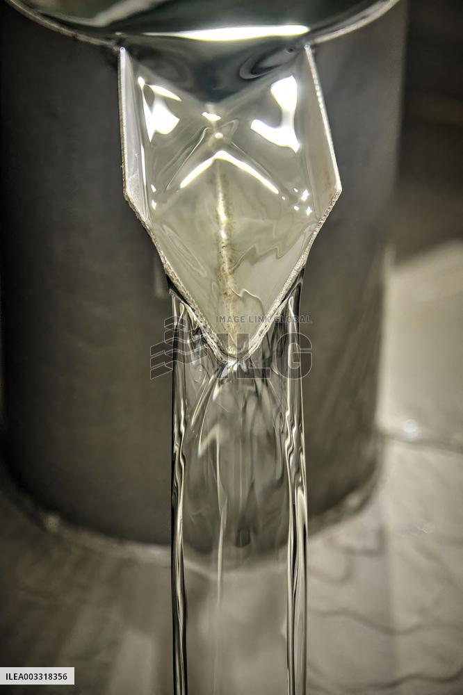 Lavandin Harvest - Alpes-de-Haute-Provence