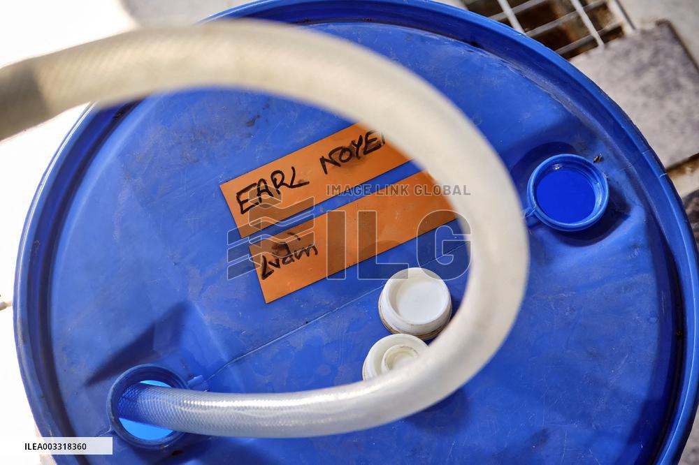 Lavandin Harvest - Alpes-de-Haute-Provence