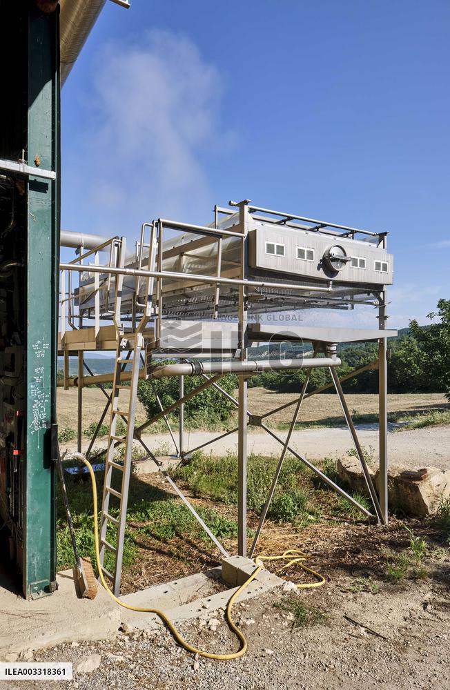 Lavandin Harvest - Alpes-de-Haute-Provence