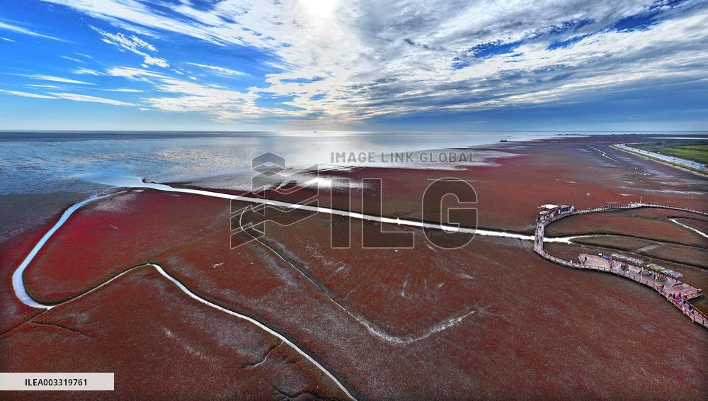 Red Beach Scenic Area - China