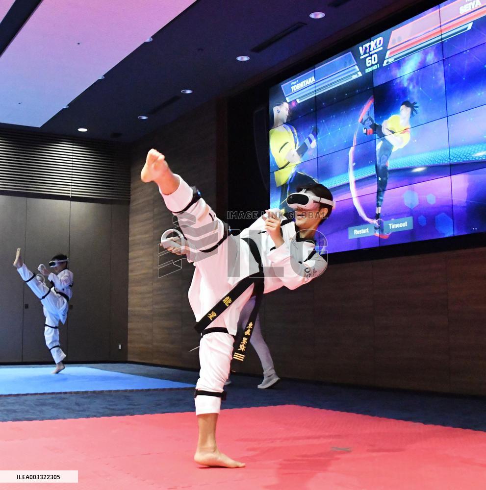 VR taekwondo