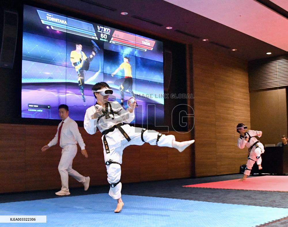 VR taekwondo