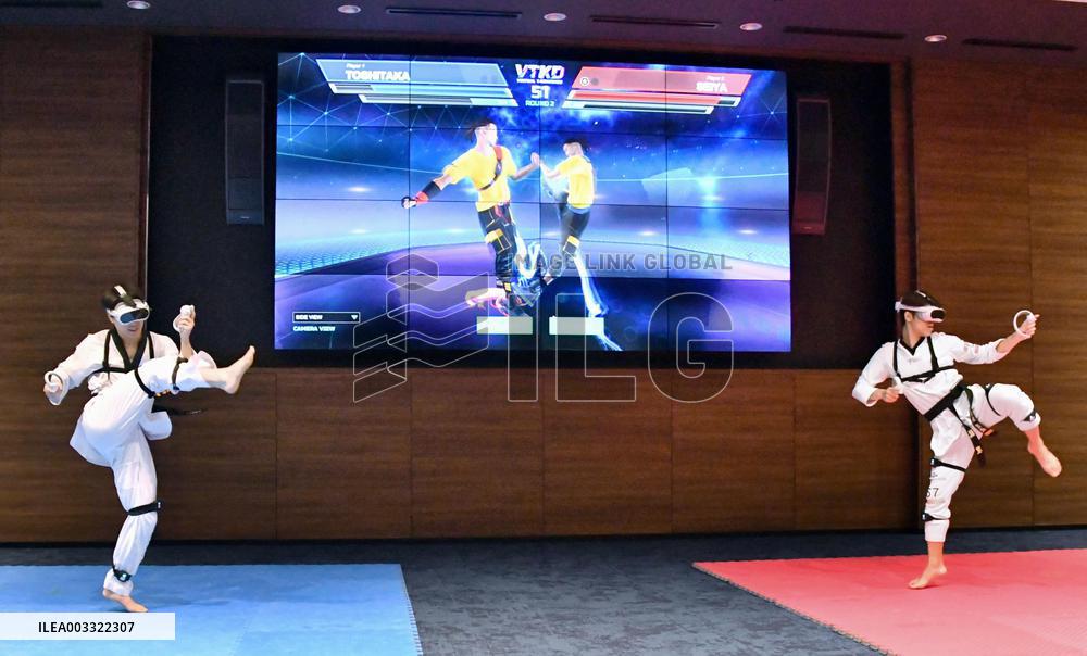 VR taekwondo