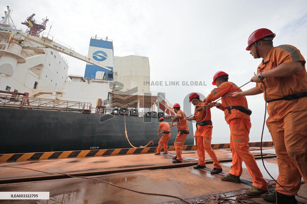 China Seaborne Imports of Dry Bulk Cargo Increased