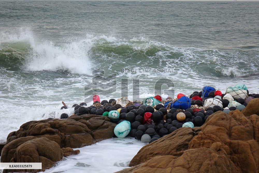 Typhoon Pulasan Hit Qingdao