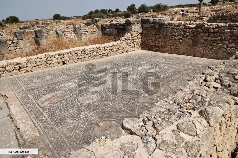 Volubilis UNESCO World Heritage Site - Morocco