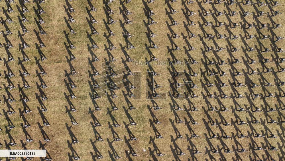 Freshman Military Training