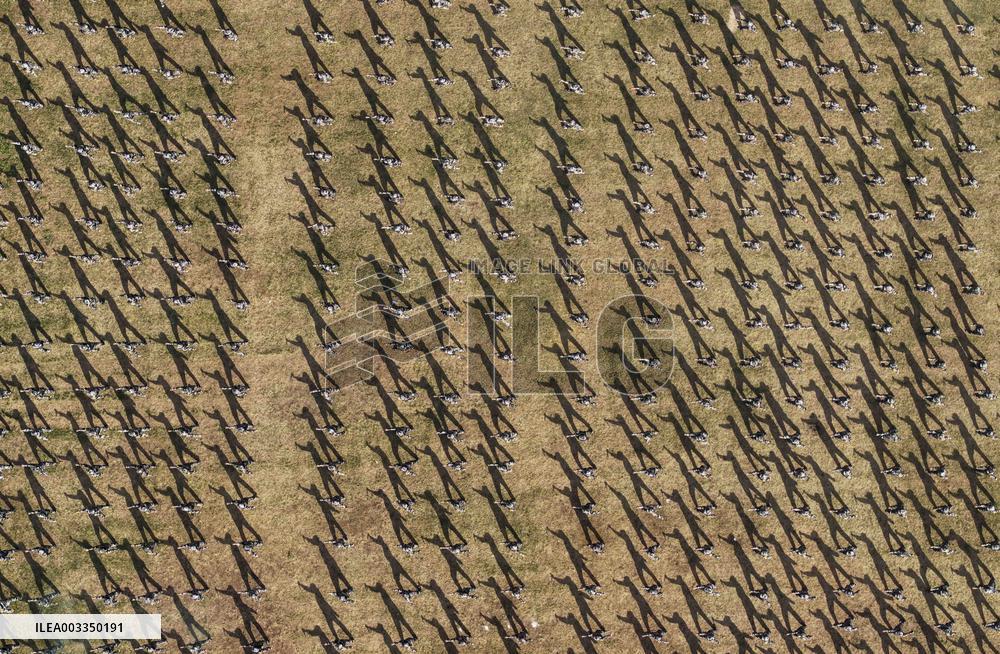 Freshman Military Training