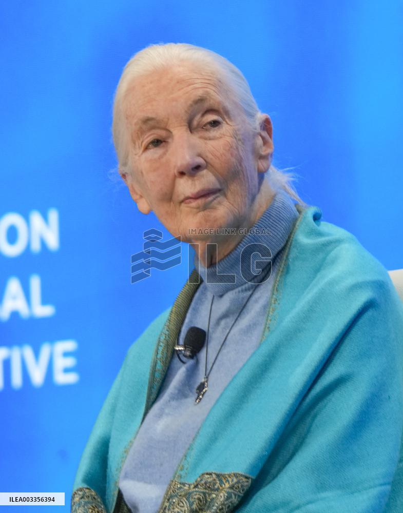 Jane Goodall At Clinton Global Initiative - NYC