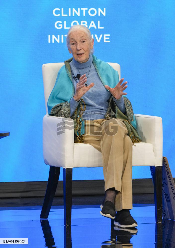 Jane Goodall At Clinton Global Initiative - NYC