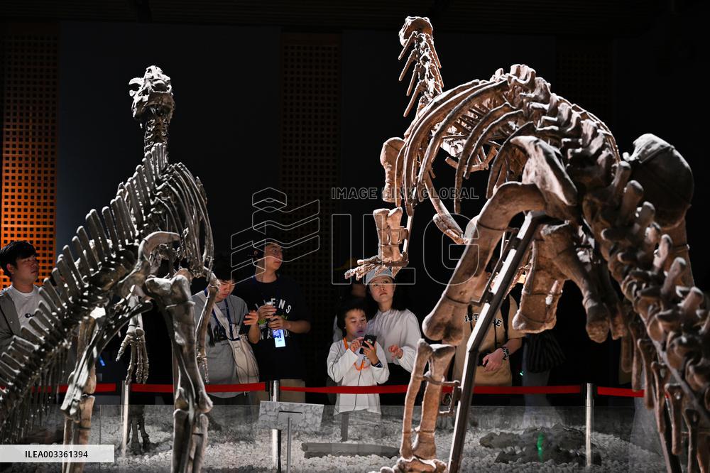 Visitors Visit The Nanjing Museum in Nanjing