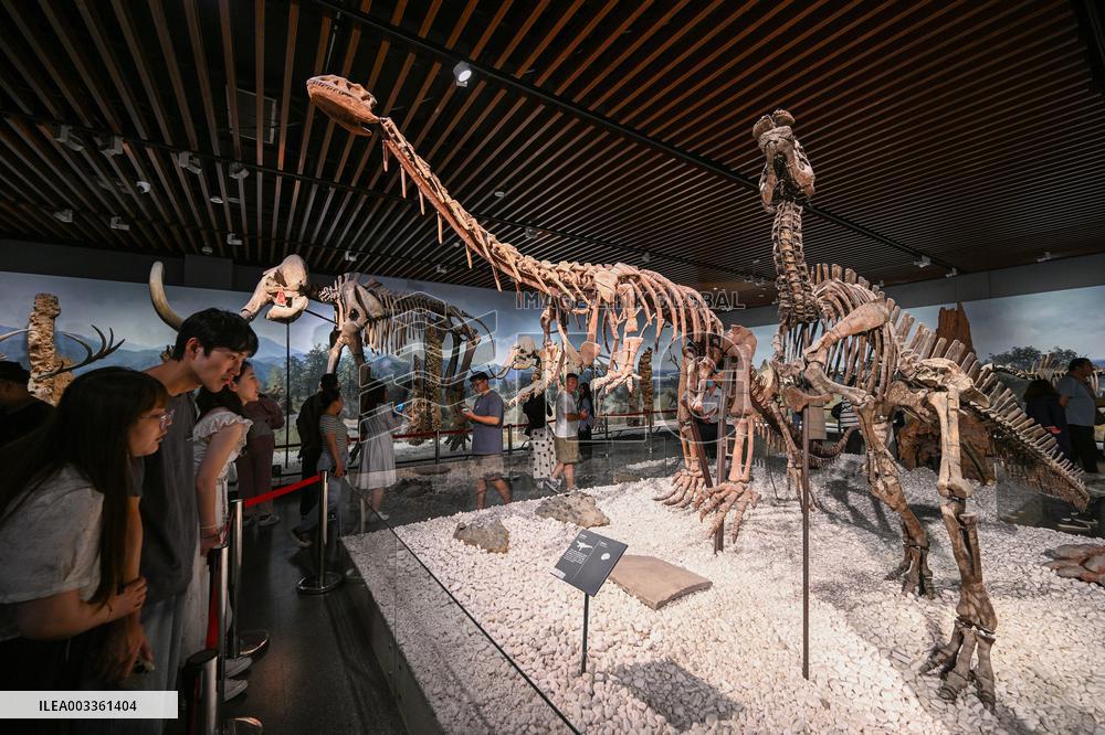 Visitors Visit The Nanjing Museum in Nanjing