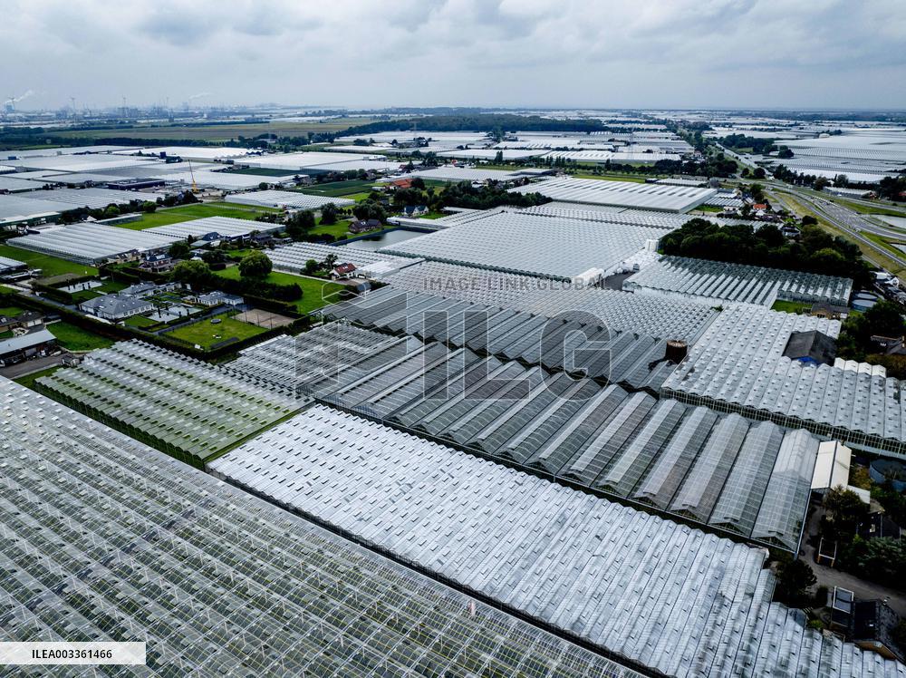 Greenhouse Farming - Netherlands