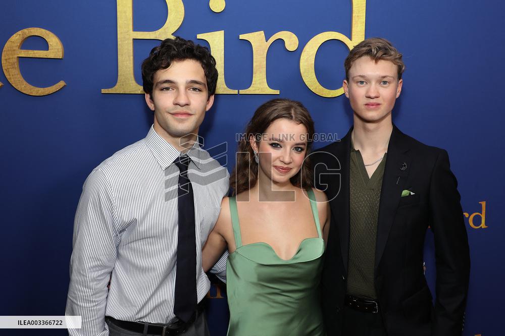 White Bird Screening - NYC