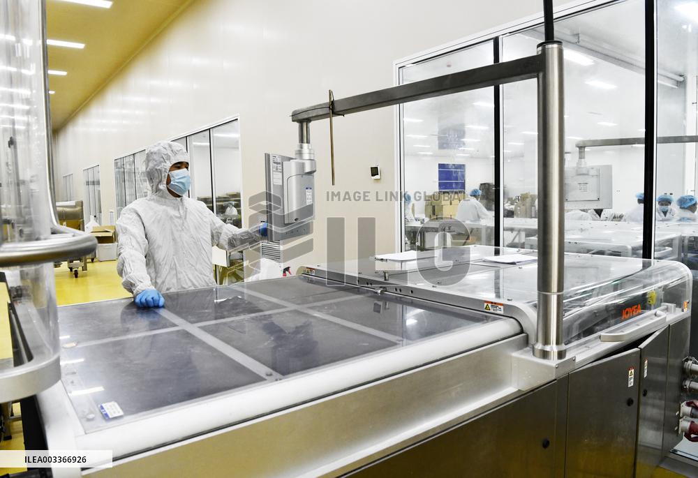 A Probiotic Production Company in Zaozhuang