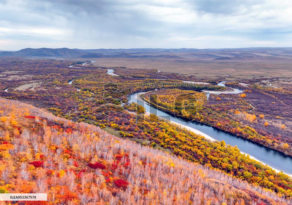 Erguna Wetland Scenery in Hulunbuir