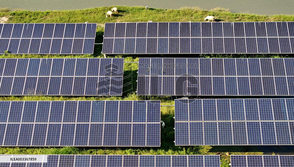 Fishery-Solar Hybrid Project