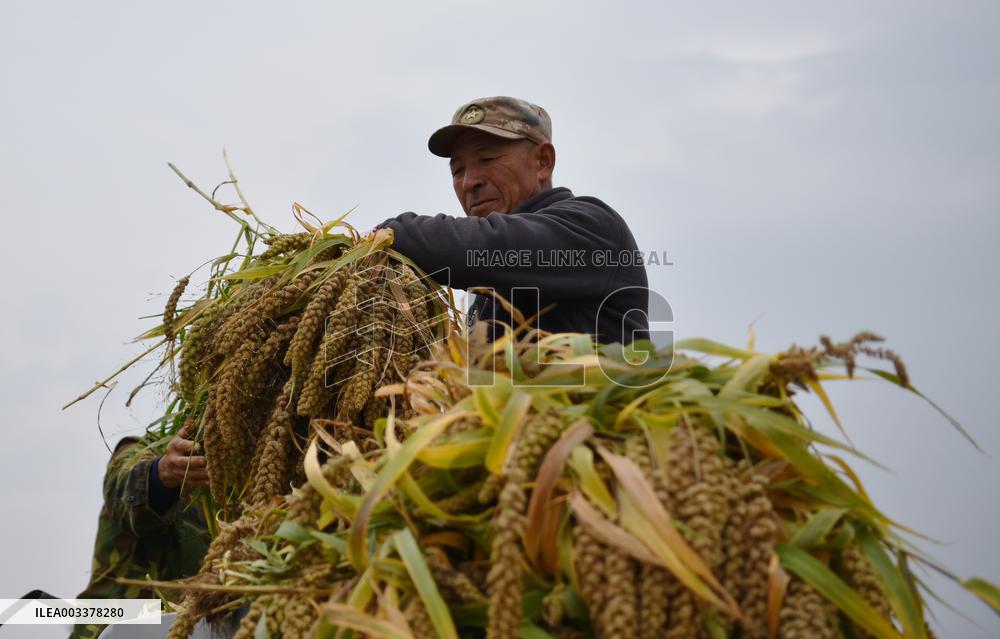National Modern Agriculture Industrial Park in Zhangjiakou