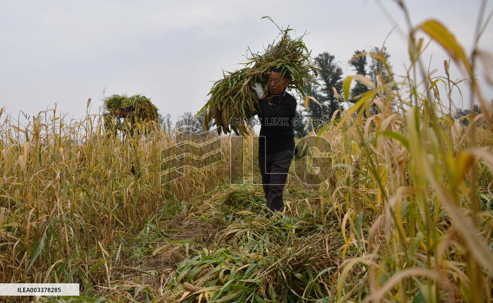 National Modern Agriculture Industrial Park in Zhangjiakou