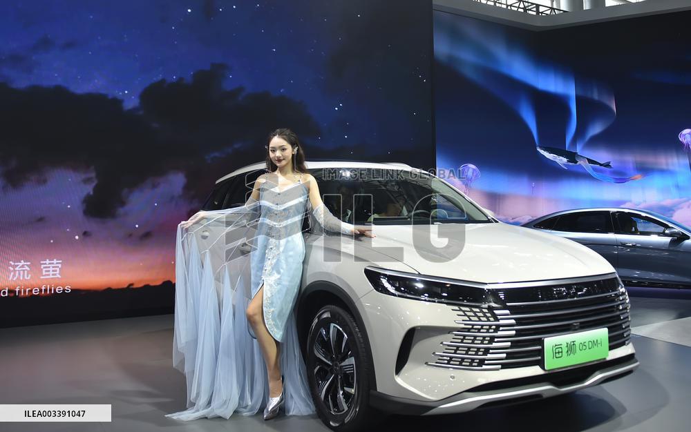 2024 Hefei International New Energy Vehicle Exhibition