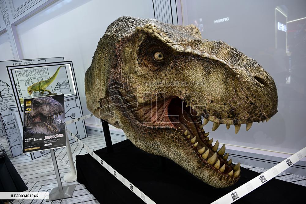 Wonder Festival 2024 Held in Shanghai
