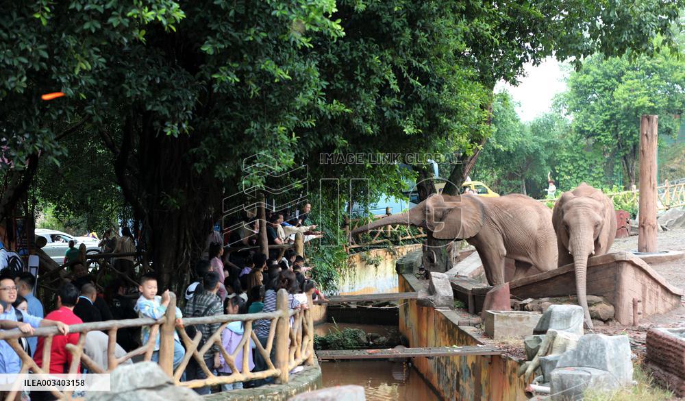 An Animal Theme Park in Chongqing
