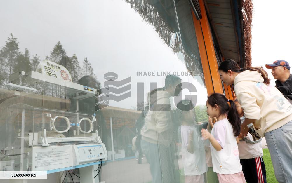 An Animal Theme Park in Chongqing