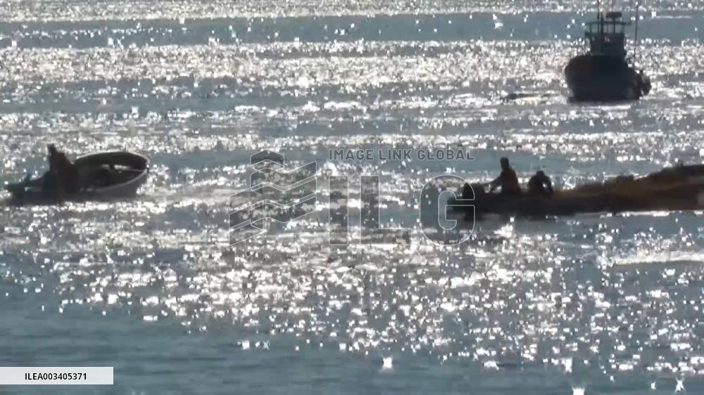 [Breaking News]Dolphin hunt in western Japan town