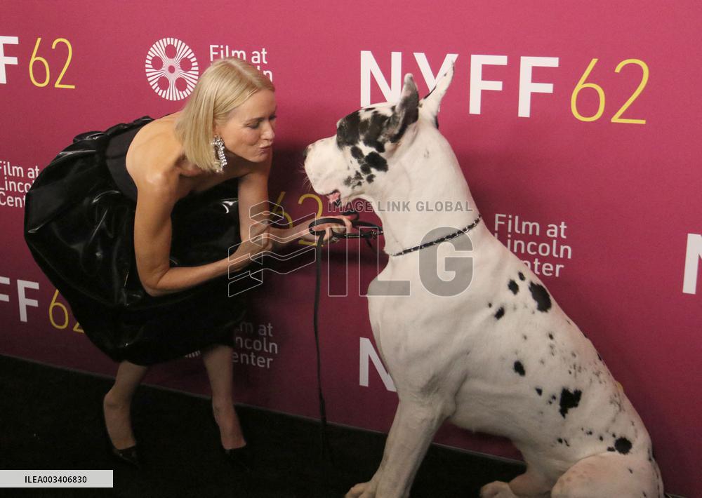 "The Friend" Premiere - 62nd New York Film Festival