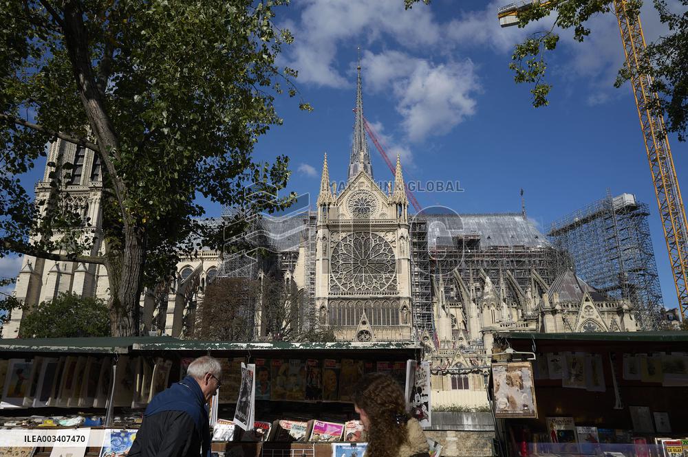 Illustration - Notre Dame De Paris - Paris