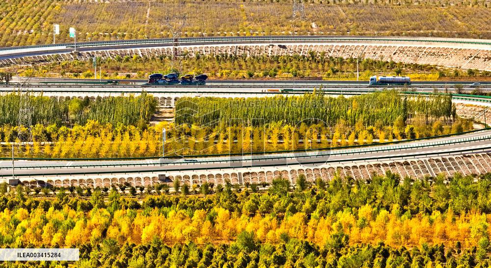 An Ecological Shelterbelt Along The Heihe River in Zhangye