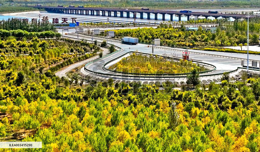 An Ecological Shelterbelt Along The Heihe River in Zhangye