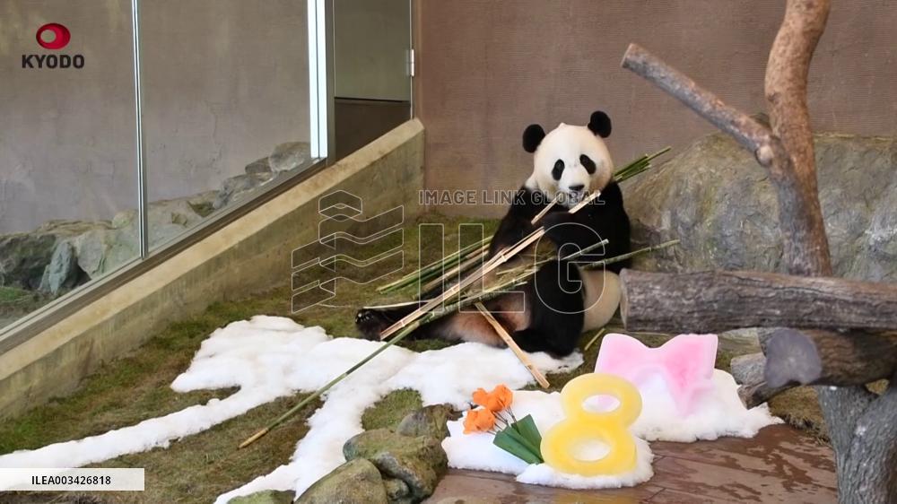 [Breaking News]Giant panda at western Japan zoo