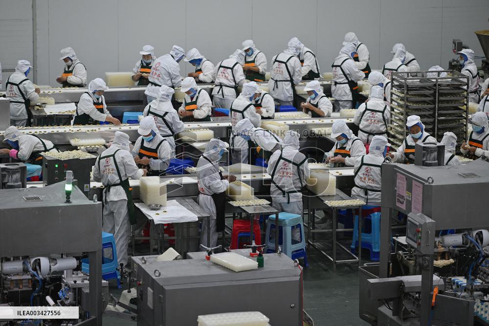 Dumpling Production Base in Suqian