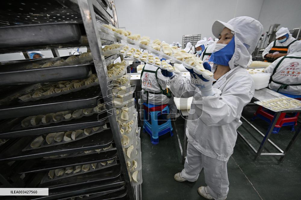 Dumpling Production Base in Suqian